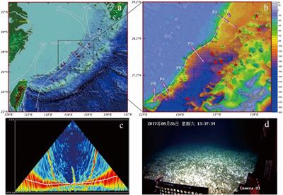 Distribution and Discharge of Dissolved Methane in the Middle Okinawa Trough, East China Sea